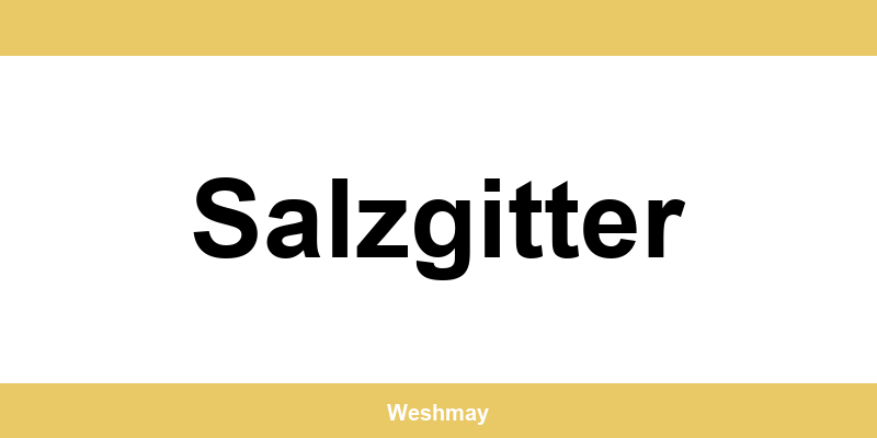 Western Union Filialen in Salzgitter finden und direkt kontaktieren