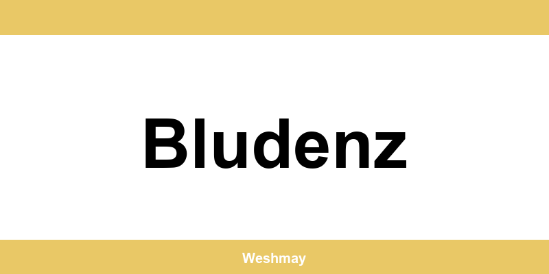 Western Union Filialen in Bludenz finden und direkt kontaktieren