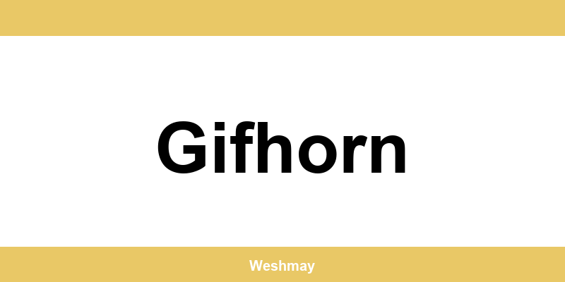 Western Union Filialen in Gifhorn finden und direkt kontaktieren