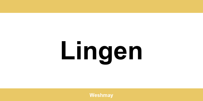Western Union Filialen in Lingen finden und direkt kontaktieren